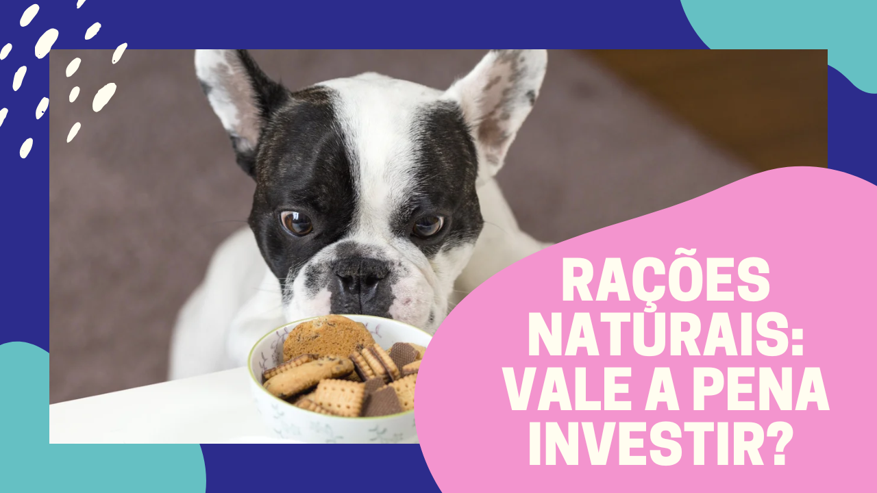 Rações Naturais: Vale a Pena Investir? | Dicas Rápidas